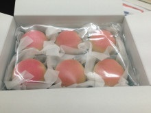 mitomitter20131123-2