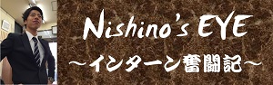 nishinos-eye_banner_s