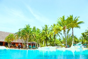 d505add15a0408e226f7f6c66b23e2d9_s